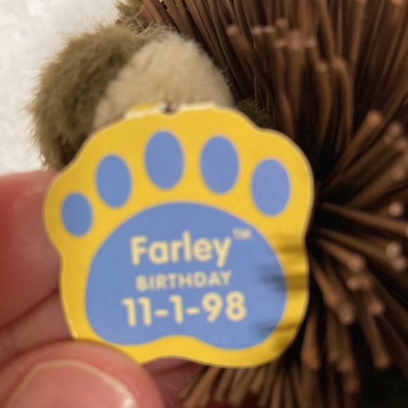 NWT 1999 Oddzon 4” Teddy Bear plush Farley Birthdate 11-1-98 Koosh Ball - Picture 6 of 7